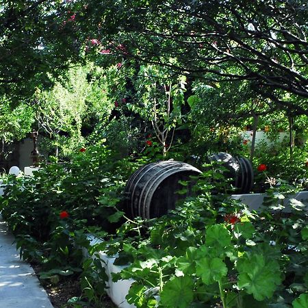 شقة آداماس  في Milos Garden المظهر الخارجي الصورة