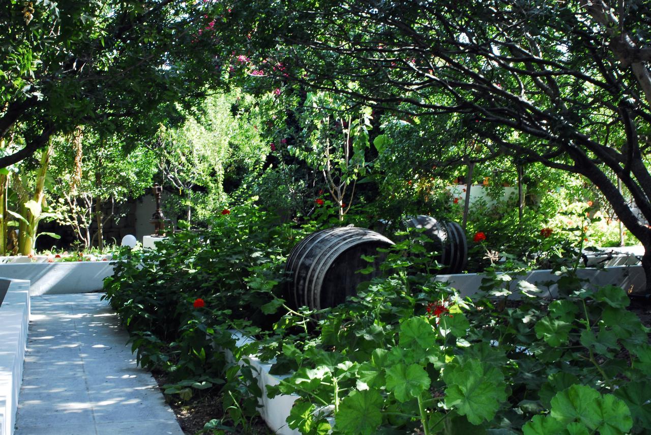 شقة آداماس  في Milos Garden المظهر الخارجي الصورة